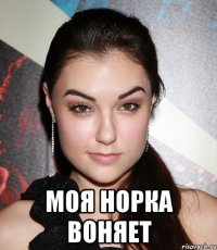  Моя норка воняет