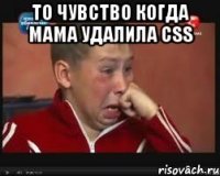 То чувство когда мама удалила CSS 