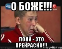 О БОЖЕ!!! ПОНИ - ЭТО ПРЕКРАСНО!!!