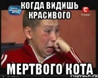 когда видишь красивого мертвого кота