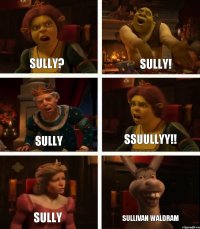 Sully? sully sully SULLY! SSUULLYY!! SULLIVAN WALDRAM