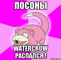 Посоны Watercrow распался !