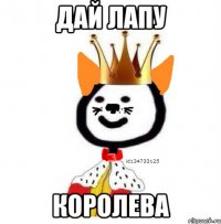 дай лапу королева