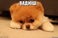 Вадюш... 