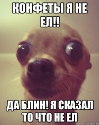 Конфеты я не ел!! Да блин! Я сказал то что не ел