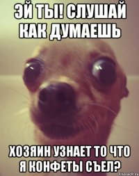 Эй ты! Слушай как думаешь Хозяин узнает то что я конфеты съел?