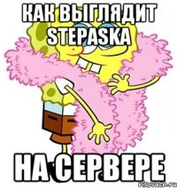 как выглядит stepaska на сервере