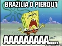 Brazilia o pierdut AAAAAAAAA.....