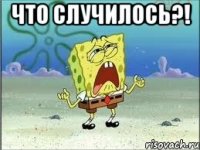 ЧТО СЛУЧИЛОСЬ?! 