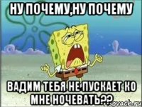 ну почему,ну почему Вадим тебя не пускает ко мне ночевать??