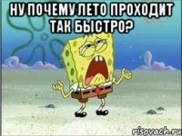 Ну почему лето проходит так быстро? 