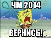 ЧМ 2014 ВЕРНИСЬ!