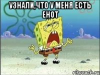 Узнали,что у меня есть енот 