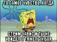 То самое чувство, когда стрим завис и ты не увидел 2 тяжелых боя