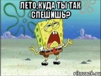 лето,куда ты так спешишь? 