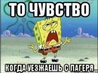 То чувство Когда уезжаешь с лагеря