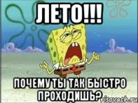 Лето!!! Почему ты так быстро проходишь?