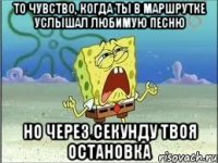 То чувство, когда ты в маршрутке услышал любимую песню но через секунду твоя остановка