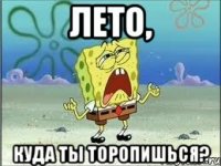 лето, куда ты торопишься?