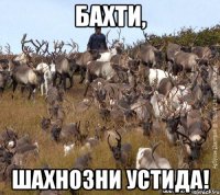 Бахти, Шахнозни устида!