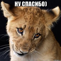 Ну спасибо) 