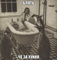 блять чё за хуйня