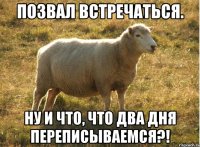 Позвал встречаться. Ну и что, что два дня переписываемся?!