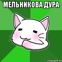 мельникова дура 