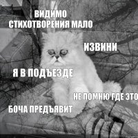 ВИДИМО СТИХОТВОРЕНИЯ МАЛО ИЗВИНИ Я В ПОДЪЕЗДЕ НЕ ПОМНЮ ГДЕ ЭТО БОЧА ПРЕДЪЯВИТ