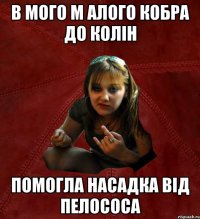 в мого м алого кобра до колін помогла насадка від пелососа