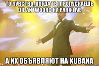 То чувство, когда ты пропускаешь Die Antwoord на Park Live А их объявляют на Kubana