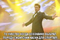  То чувство когда осознанно выбрал породу сибирский хаски для спорта!!!