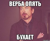 Верба опять БУХАЕТ