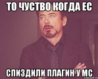 ТО ЧУСТВО КОГДА EC СПИЗДИЛИ ПЛАГИН У МС