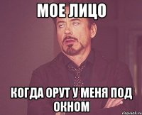 Мое лицо Когда орут у меня под окном