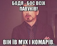 Бодя - бос всіх павуків! Він їв мух і комарів.