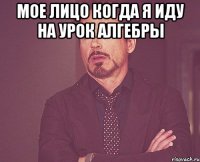 Мое лицо когда я иду на урок алгебры 