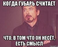 Когда Губарь считает Что, в том что он несёт, есть смысл