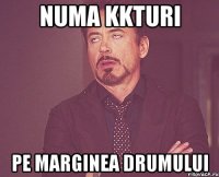 Numa kkturi pe marginea drumului