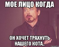 МОЕ ЛИЦО КОГДА ОН ХОЧЕТ ТРАХНУТЬ НАШЕГО КОТА..