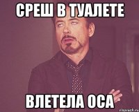 Среш в туалете Влетела оса