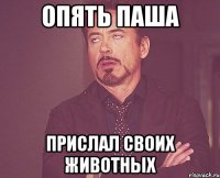 Опять Паша Прислал своих животных