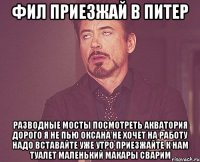 ФИЛ ПРИЕЗЖАЙ В ПИТЕР Разводные мосты посмотреть Акватория Дорого я не пью Оксана не хочет На работу надо Вставайте уже утро Приезжайте к нам Туалет маленький Макары сварим