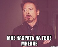  мне насрать на твоё мнение