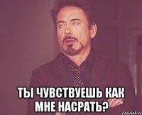  Ты чувствуешь как мне насрать?