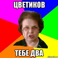 ЦВЕТИКОВ тебе два