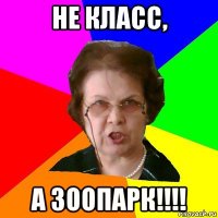 Не класс, А зоопарк!!!!