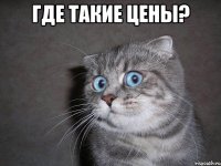 где такие цены? 