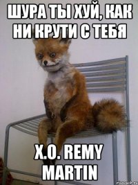 Шура Ты хуй, как ни крути с Тебя X.O. Remy Martin