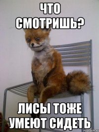 что смотришь? лисы тоже умеют сидеть